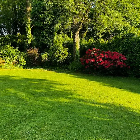 L Instant Suspendu Maison 25m2 Avec Coin Salon Wifi Netflix Maison Like And * Duclair